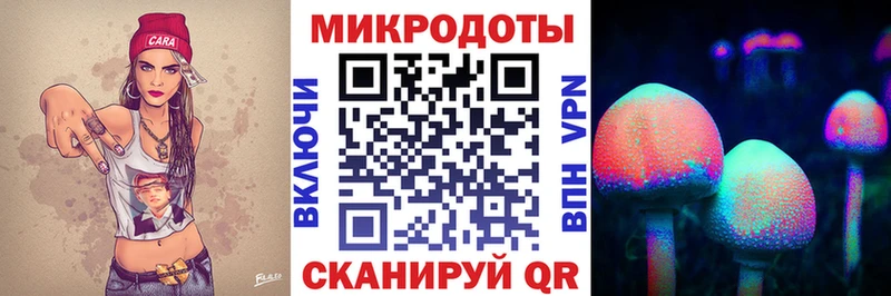 Псилоцибиновые грибы мухоморы  продажа наркотиков  Городище 
